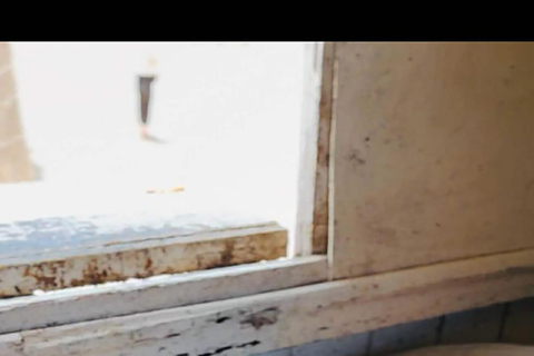 Djerba: Flamingo Island Boat Tour with Local Guide