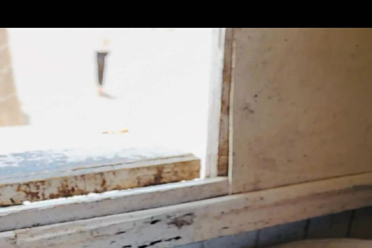 Djerba: Flamingo Island Boat Tour with Local Guide