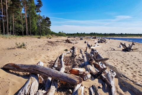 Riga: caminata de medio día por los ecosistemas naturales