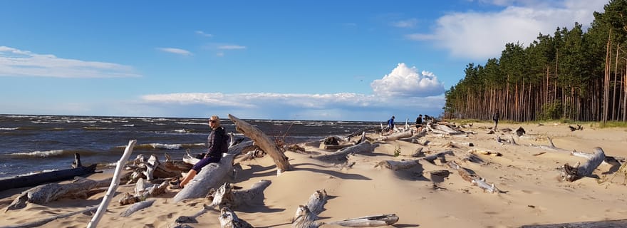 Depuis Riga : quatre écosystèmes naturels en une seule randonnée