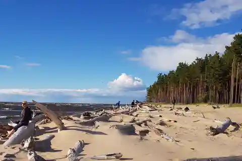 Von Riga aus: Vier natürliche Ökosysteme auf einer Wanderung