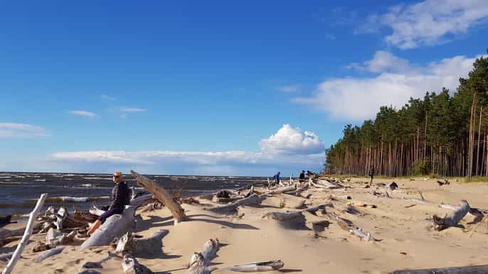 riga halfday natural ecosystems hike