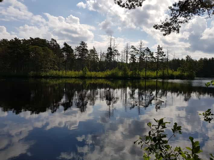 Riga: Half-Day Natural Ecosystems Hike | GetYourGuide