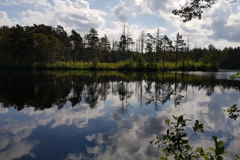 Riga: wandeling van een halve dag door natuurlijke ecosystemen