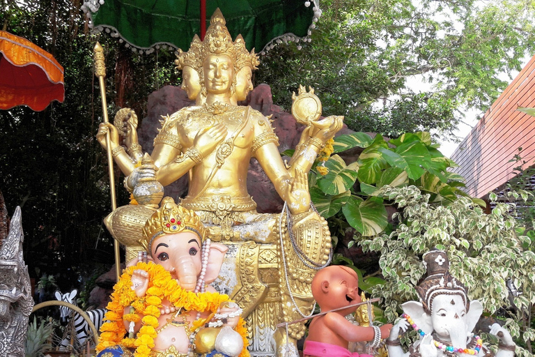 Da Bangkok: tour di Chachoengsao e crociera sul fiume Bang PakongTour di gruppo