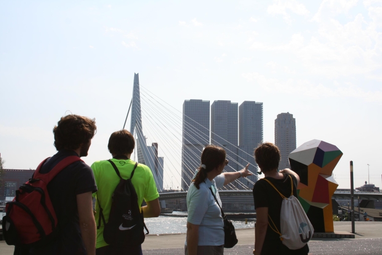 Rotterdam: visite guidée d'architecture de groupe dirigée par des architectesTour en anglais