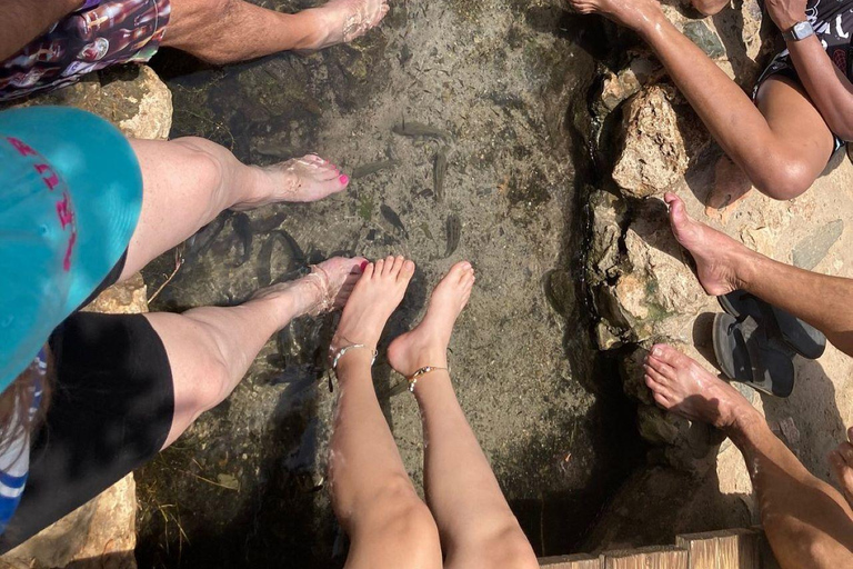 Aruba: Piscina Natural, Cuevas y Aventura en Jeep por la Playa del Bebé