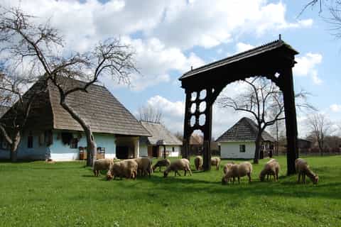 Székely: Nature and Culture Full Day Trip from Brasov