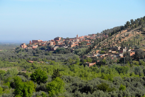 Da Marrakech: Tour di un giorno della Valle dell&#039;Ourika e delle Montagne dell&#039;AtlanteTour guidato di 1 giorno