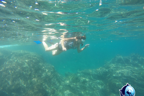 Safari z rurką Mobula RayPrywatne safari z rurką Mobula Ray