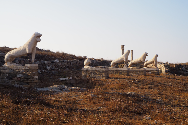 Ab Mykonos: Bootstransfer zur Delos InselBootstour ab dem Kreuzfahrthafen