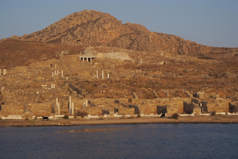Depuis Myconos : transfert vers l'île de Délos en bateauTraversée en bateau au départ du vieux port de Myconos