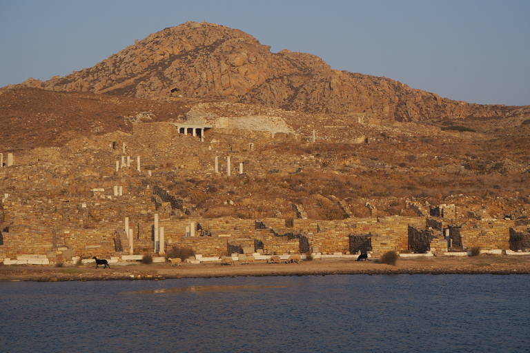 Ab Mykonos: Bootstransfer zur Delos InselBootstour ab dem Kreuzfahrthafen