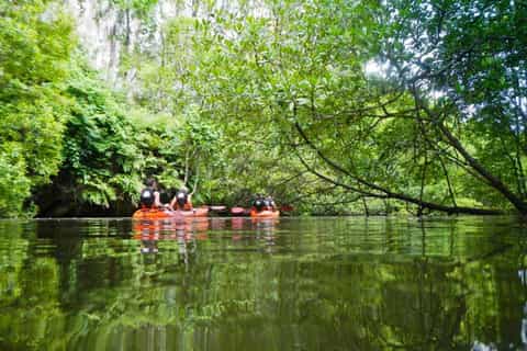 Sea Kayaking in Ao Thalane & Optional Full-Day Hong Island