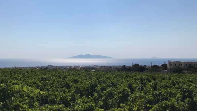 santorini smallgroup wine tour