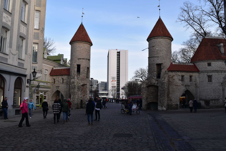 Tallin: Visita Panorámica en Vehículo Privado