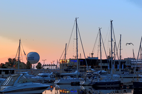 Tallin: Visita Panorámica en Vehículo Privado