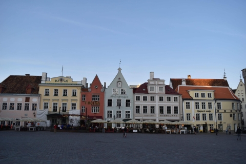 Tallinn: Panoramiczna wycieczka prywatnym pojazdem