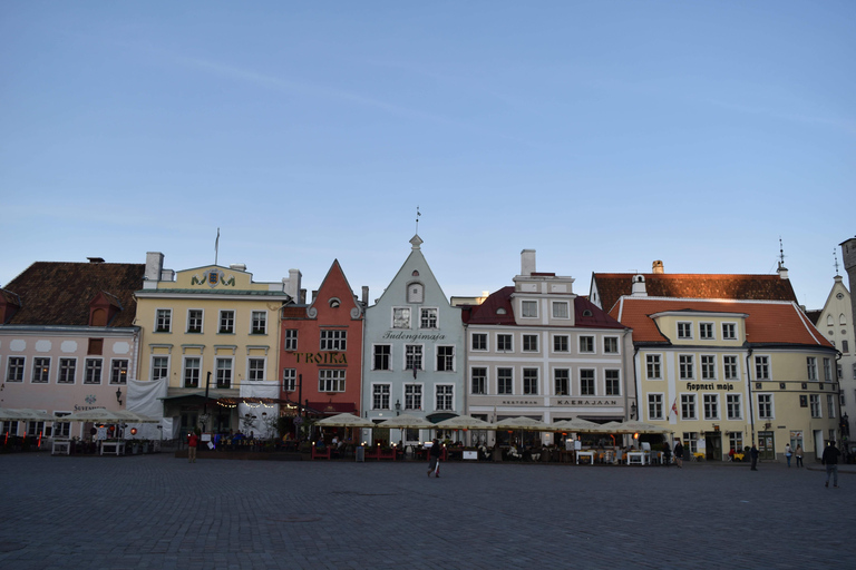 Tallin: Visita Panorámica en Vehículo Privado