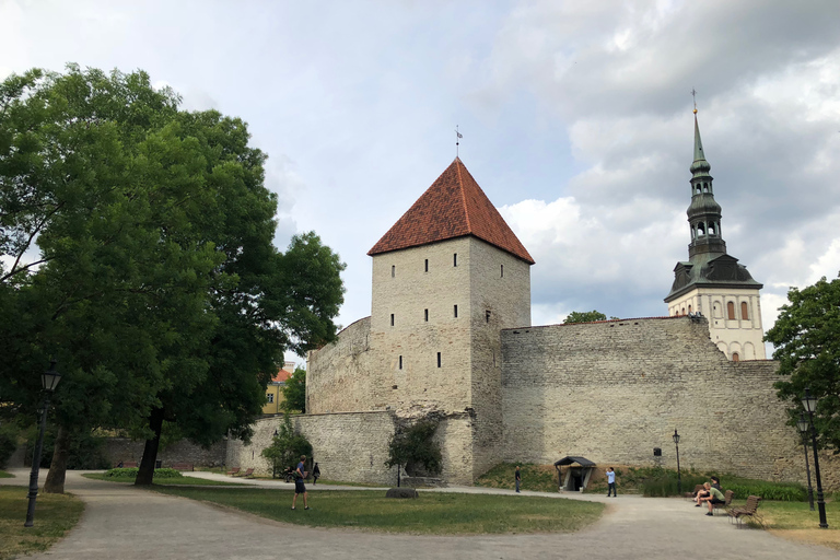 Tallinn: Panoramiczna wycieczka prywatnym pojazdem