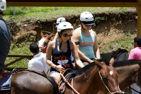 One Day Adventure Pass at Vida Aventura Nature Park 1 Day Adventure Pass at Vida Aventura Ranch