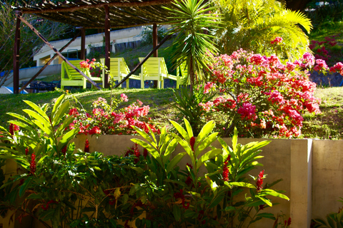 One Day Adventure Pass at Vida Aventura Nature Park 1 Day Adventure Pass at Vida Aventura Ranch