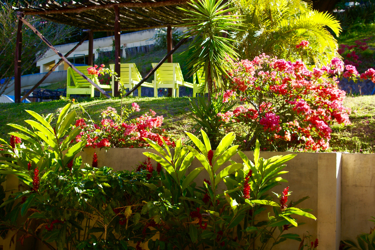 One Day Adventure Pass at Vida Aventura Nature Park 1 Day Adventure Pass at Vida Aventura Ranch