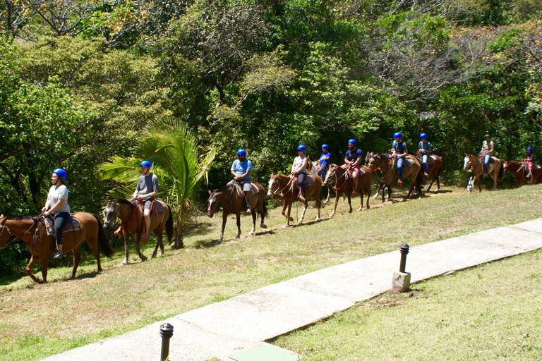 One Day Adventure Pass at Vida Aventura Nature Park 1 Day Adventure Pass at Vida Aventura Ranch