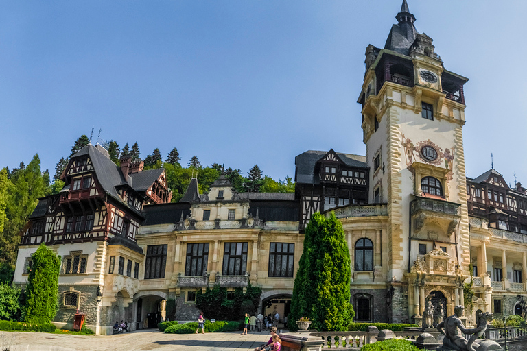 De Brasov: visite des châteaux et de ses environsOption standard