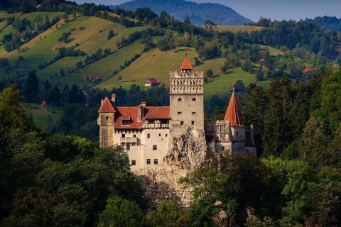 De Brasov: visite des châteaux et de ses environsOption standard