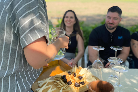 Santiago: Privétour naar Aquitania Wijnmakerij en Bahá&#039;í Tempel