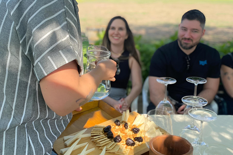 Santiago: Privétour naar Aquitania Wijnmakerij en Bahá&#039;í Tempel