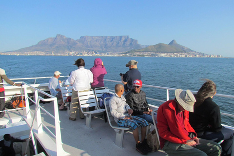 Cape Town: Robben Island Tour with Reserved Tickets