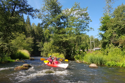 From Riga: Full-Day Scenic Gauja River Valley Kayaking Trip From Riga: Full-Day River Kayaking Tour to Sigulda