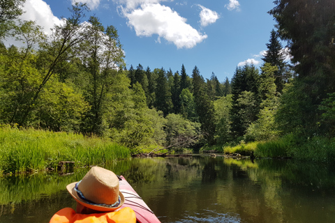 From Riga: Full-Day Scenic Gauja River Valley Kayaking Trip From Riga: Full-Day River Kayaking Tour to Sigulda