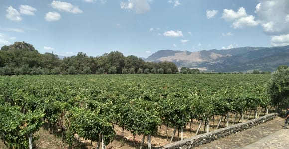Etna: Wine Tasting and Food Tour