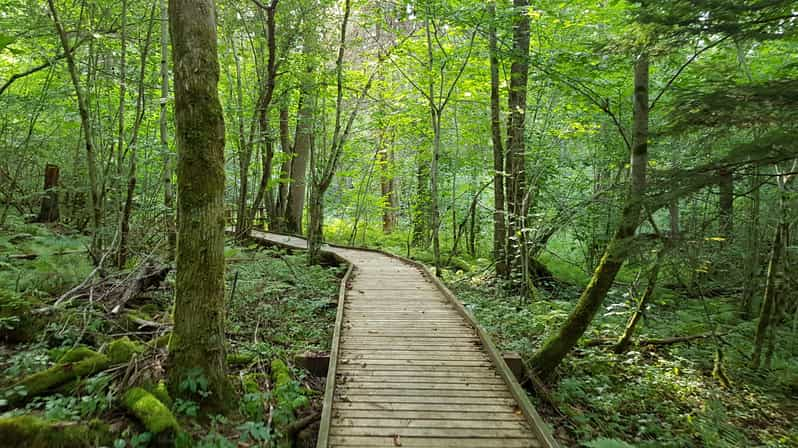 From Riga: Slītere National Park Latvian Nature Hiking Tour | GetYourGuide