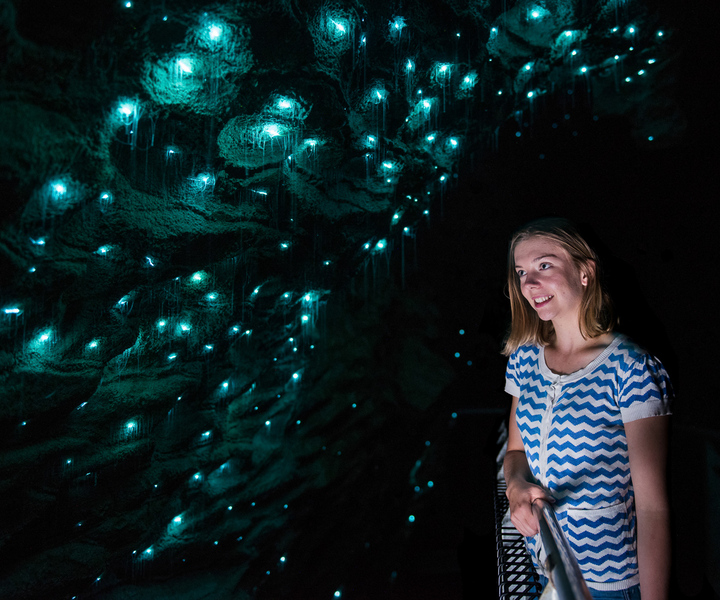 Waitomo: Ruakuri Cave 1.5 Hour Guided Tour
