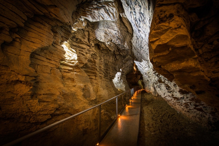 Waitomo : visite guidée d'1 h 30 de la grotte de RuakuriGrotte de Ruakuri : visite guidée d'1 h 30