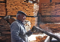 Tour della fabbrica di sughero - Housity