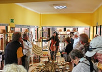 Tour della fabbrica di sughero - Housity
