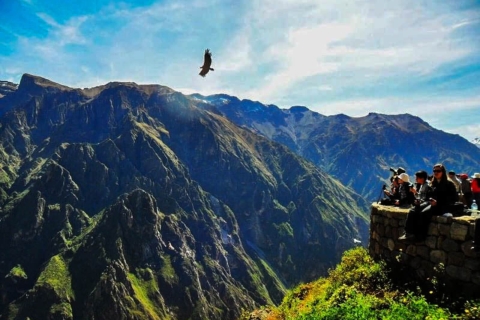 "Peru in 15 Days: Lima to Machu Picchu and Beyond" 1299WQ