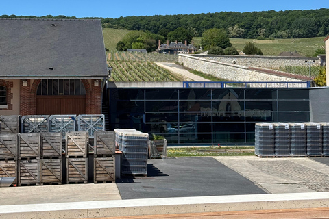 Champagne Day Tour Tours, tastings, and lunch included Champagne Tour Day Tours Tastings Lunch included