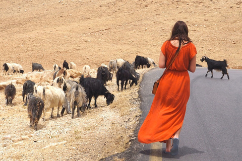 Depuis Tel Aviv : excursion en CisjordanieDepuis Tel Aviv : excursion d'une journée en Cisjordanie