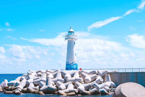 Busan Day Tour from Daegu:6 Highlights with Gamcheon Village Daegu ➔ Daegu Drop-off