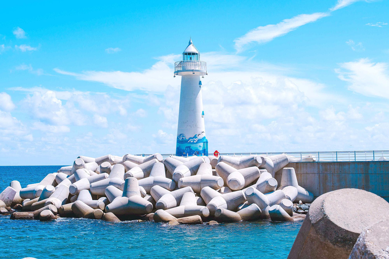 Busan Day Tour from Daegu:6 Highlights with Gamcheon Village Daegu ➔ Daegu Drop-off