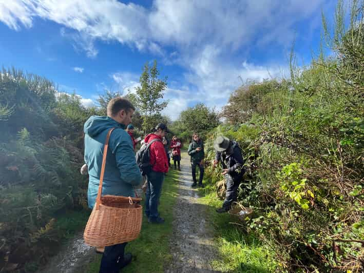 Loch Lomond : Forage et festin guidés de nourriture sauvage | GetYourGuide