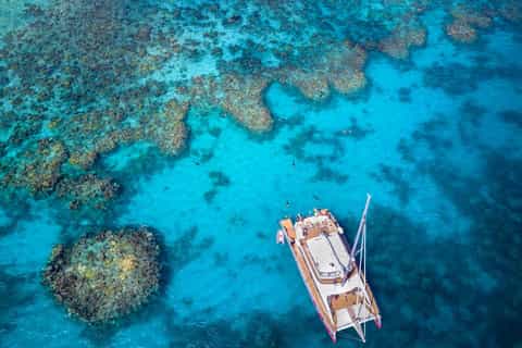From Cairns: Great Barrier Reef Cruise by Premium Catamaran