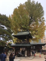 Wandelingstour door Takayama - Housity