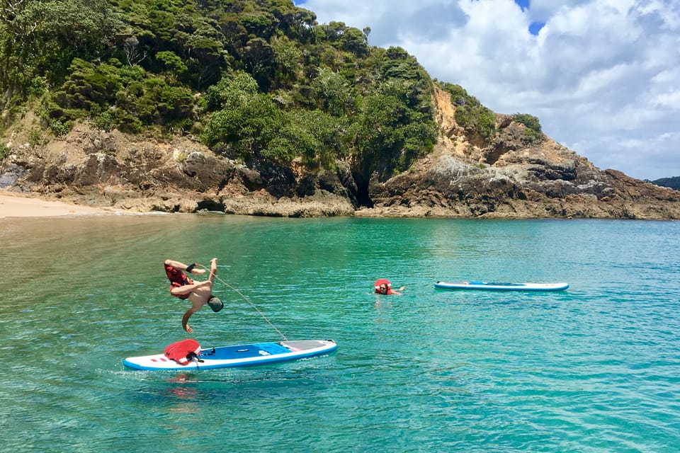 Desde Paihia, crucero escénico con escala de la isla Roberton - Hizvo